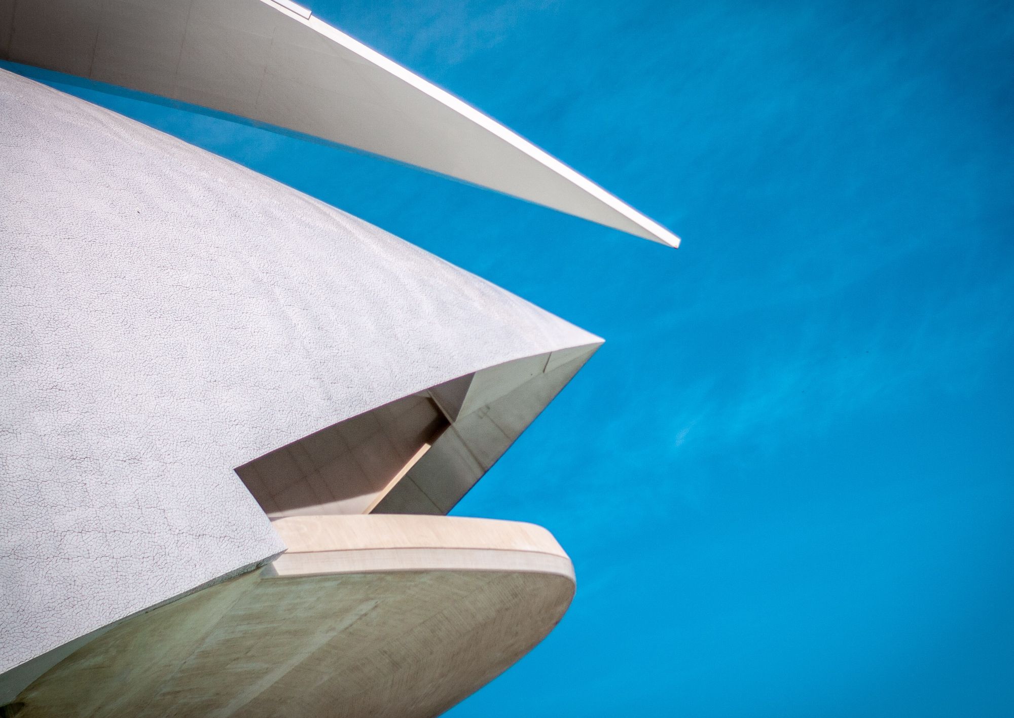 タイトルが入ります